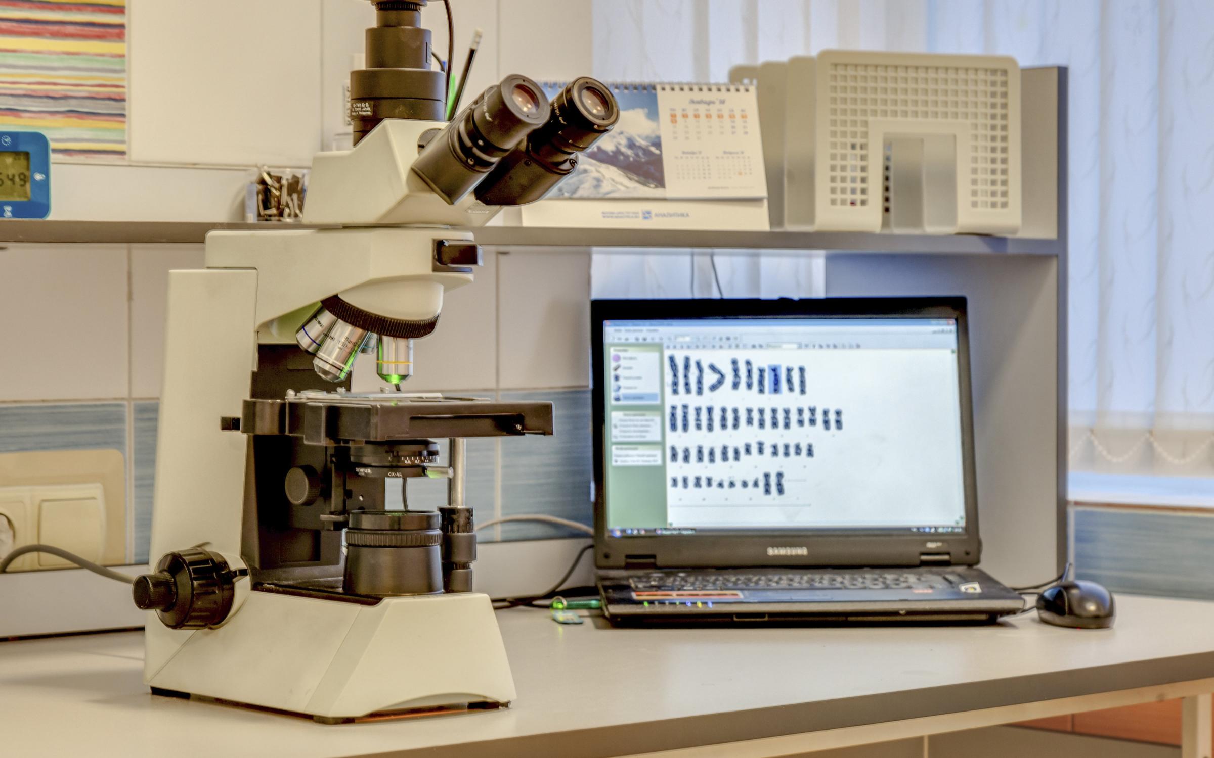 Кариотипирование