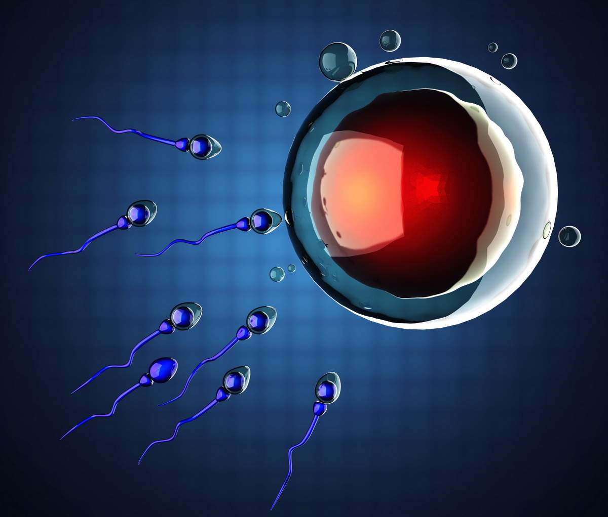 Расширенная спермограмма по доступной цене