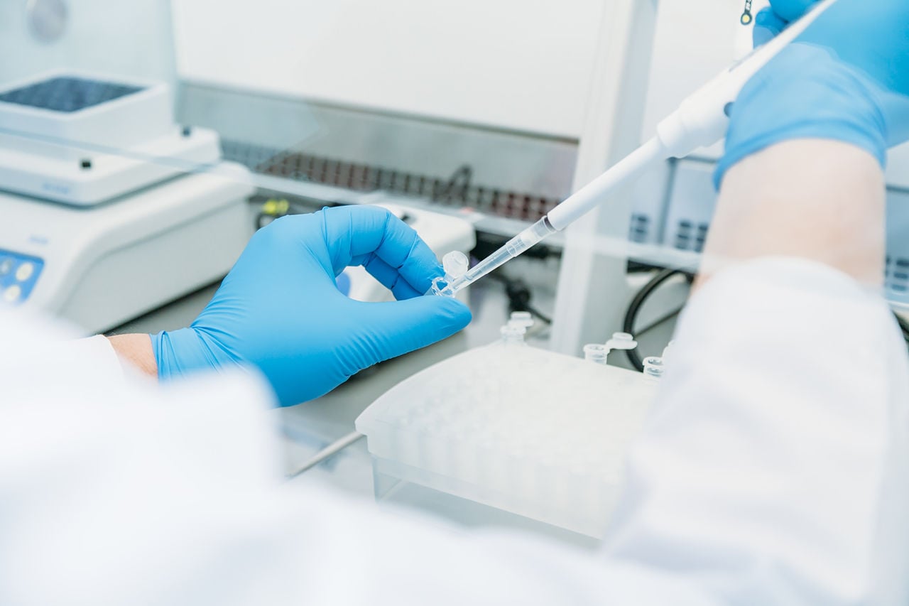 Сдать анализ крови на гепатит B