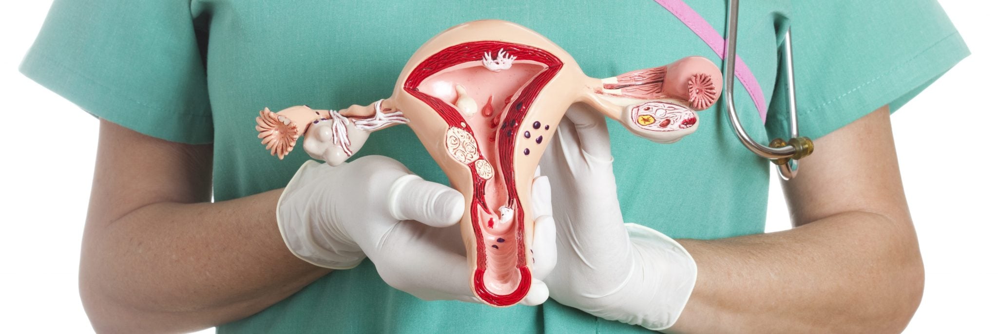 Эндометрий