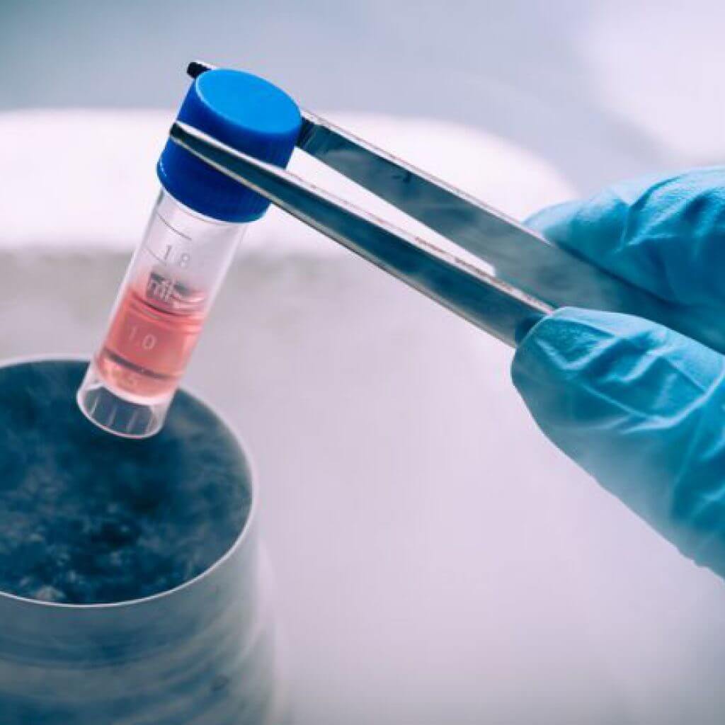 Цены криоконсервации эмбрионов