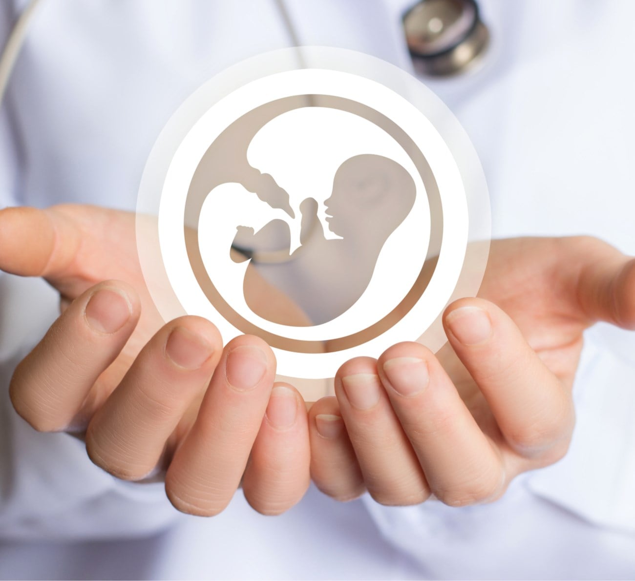 Состав процедуры криоконсервации