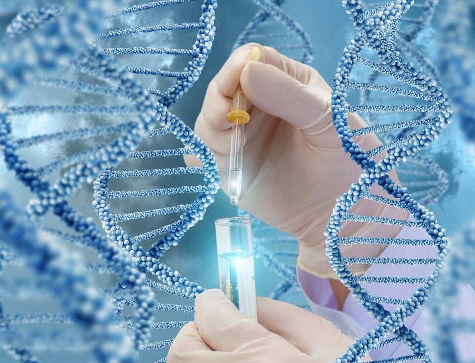 Генетическое тестирование NGS