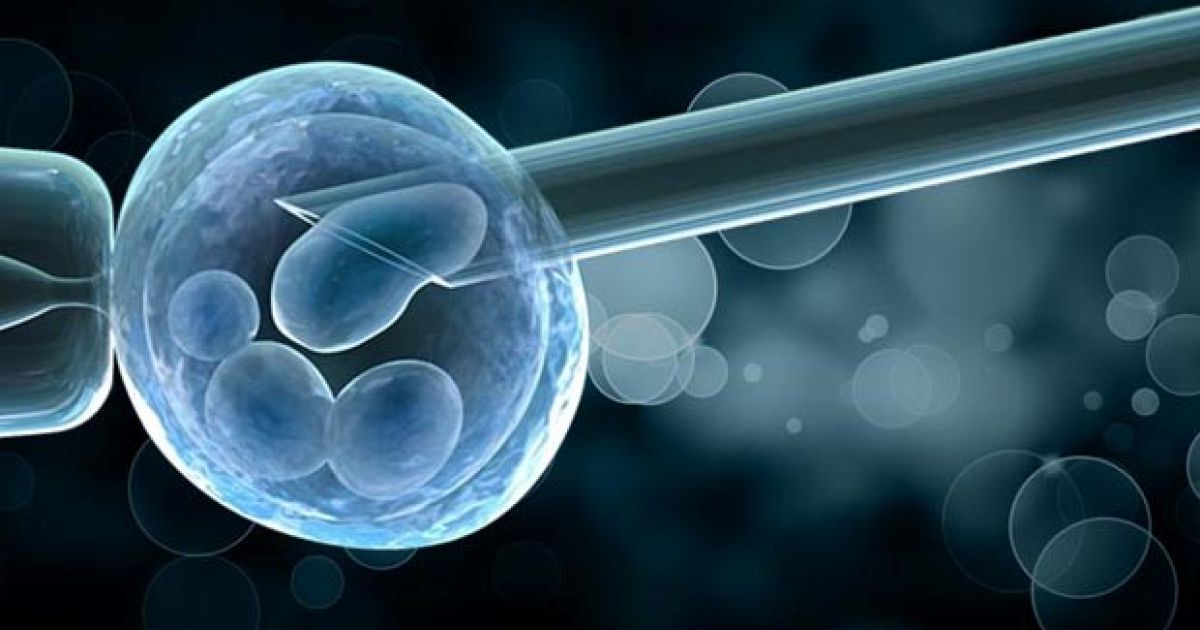 Стоимость ПГД