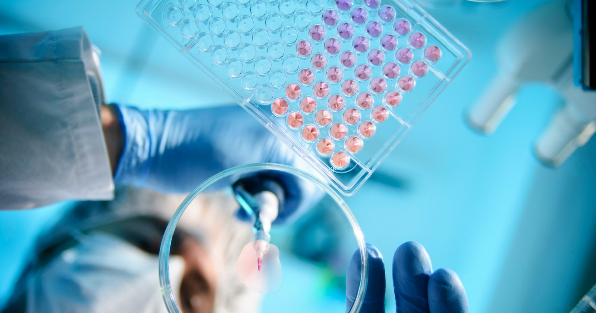 ПГД при ЭКО