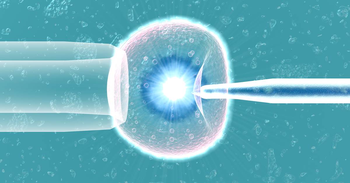 Стоимость услуг ПГД в Нижнем Новгороде