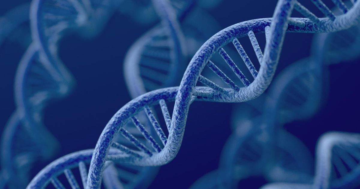 Стоимость проведения предимплантационной генетической диагностики