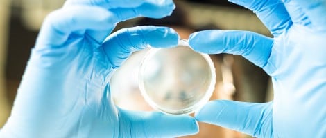 Криоконсервация ооцитов