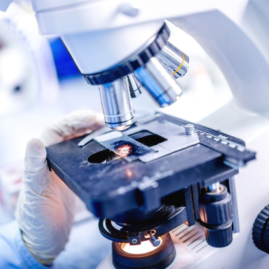 Программа ЭКО + ПГД