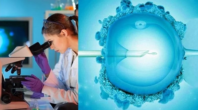 Cделать ЭКО в Москве и Нижнем Новгороде