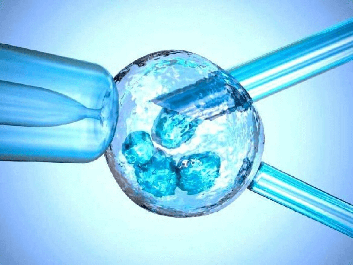 Процедуры ЭКО и ИКСИ