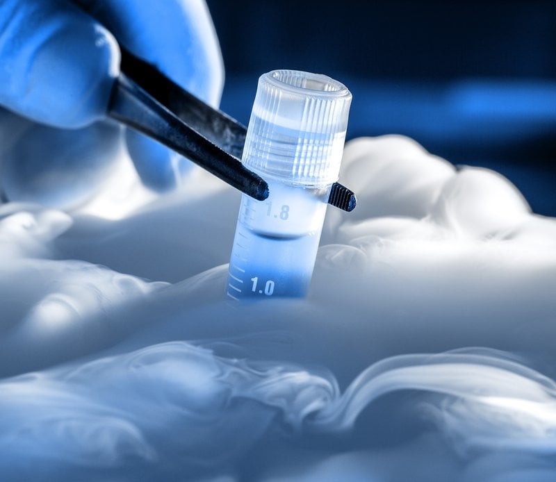 Криоперенос эмбрионов