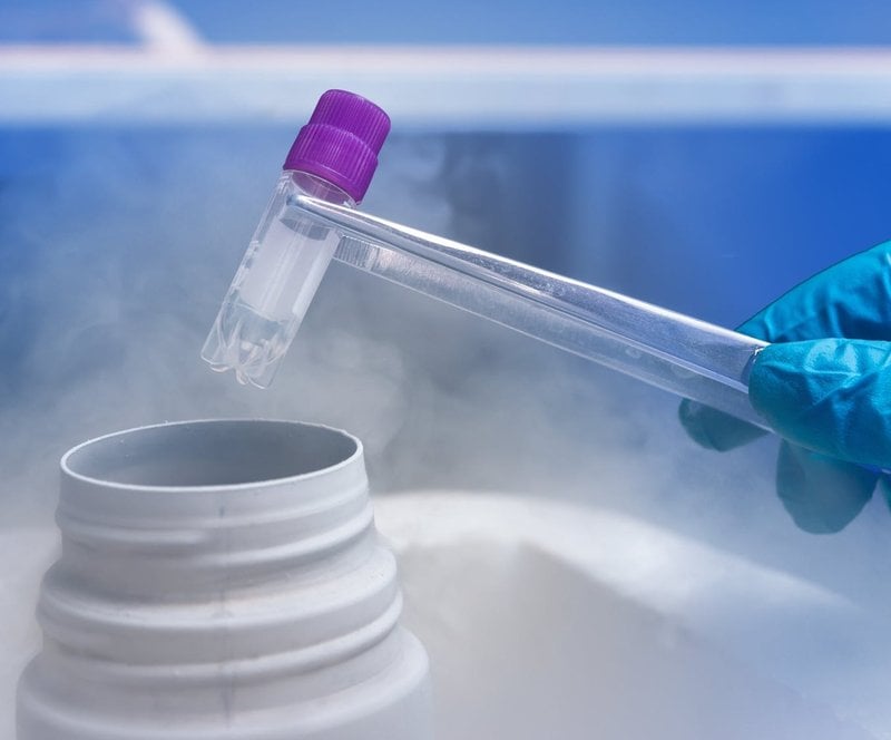 Перенос размороженных эмбрионов